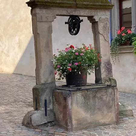 La Grange 1578 - Maison 4 Etoiles - Centre - Commerce A Proximite Obernai