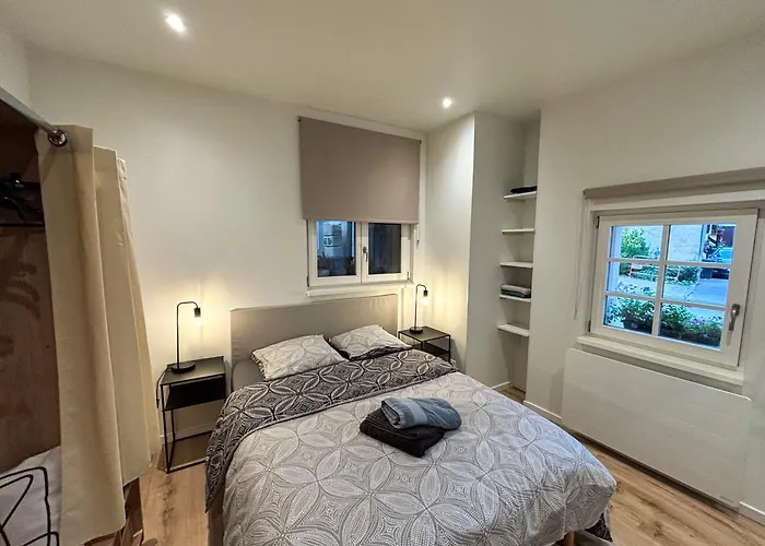 La Grange 1578 - Grande Terrasse Privee - Centre - Parkings Proches Obernai