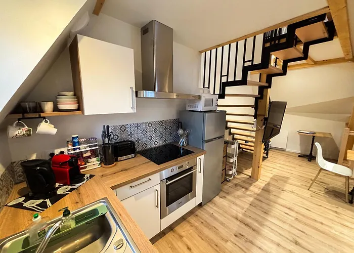 La Grange 1578 - Grande Terrasse Privee - Centre - Parkings Proches