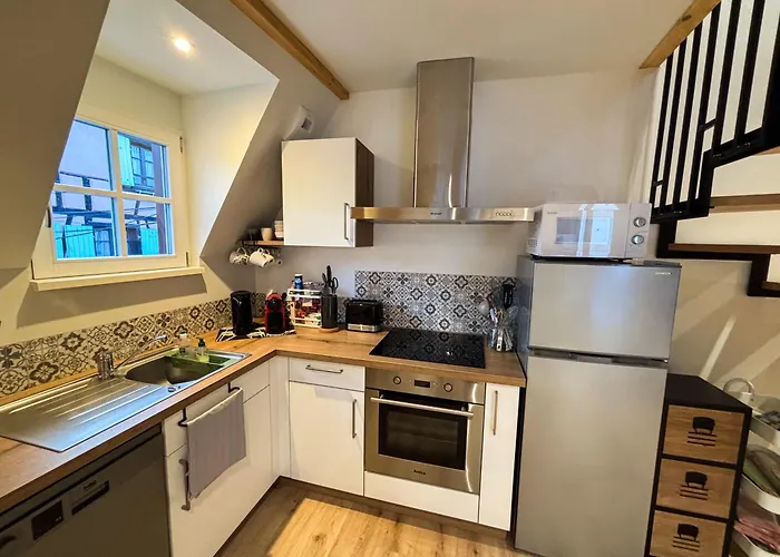 Lejlighed La Grange 1578 - Grande Terrasse Privee - Centre - Parkings Proches Obernai