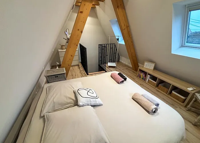 La Grange 1578 - Grande Terrasse Privee - Centre - Parkings Proches * Obernai